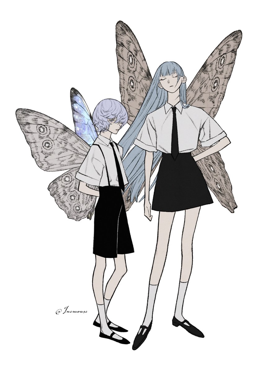 モルフォ蝶の標本