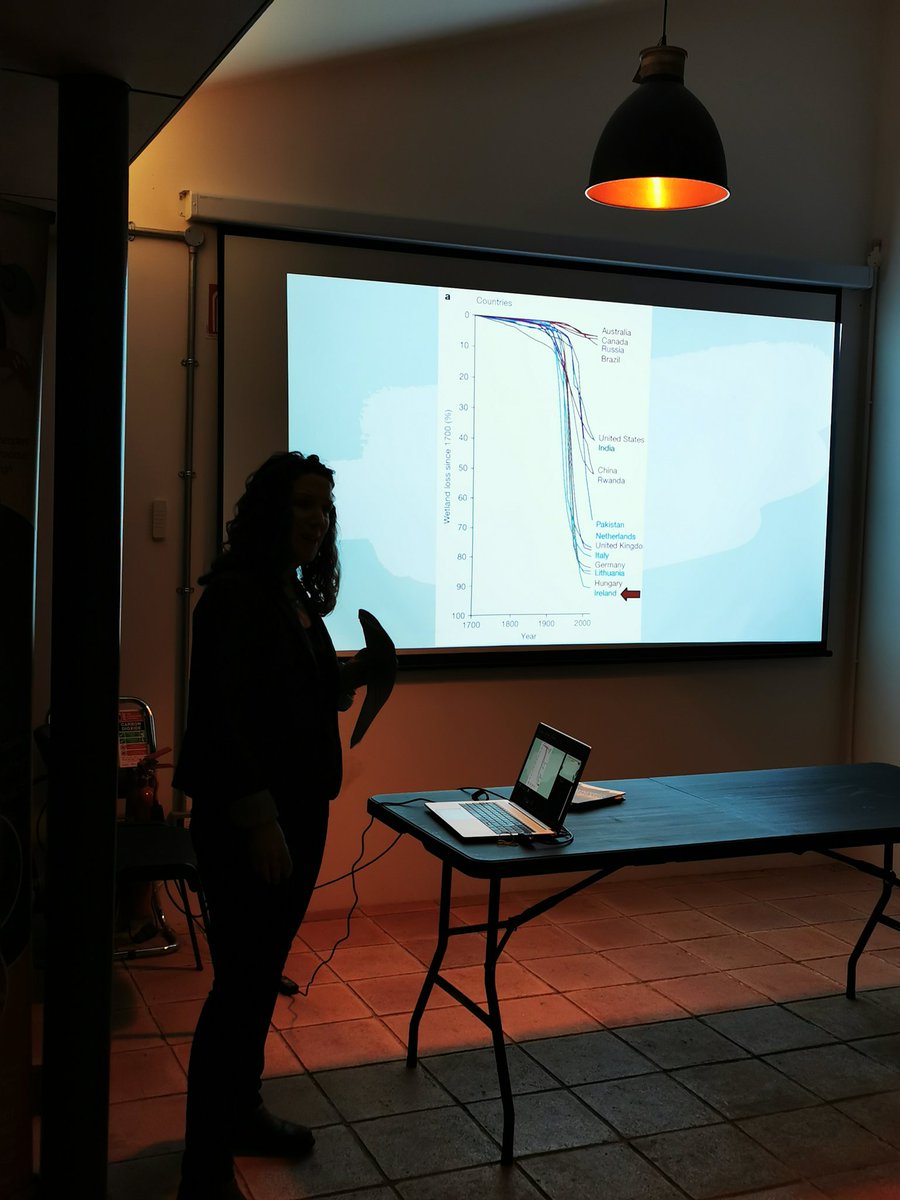 On World Wetlands day Dr Elaine Mc Goff of An Taisce showing how much of our wetlands  Ireland has lost. #WetlandsDay #WorldWetlandsDay2024 @swanireland