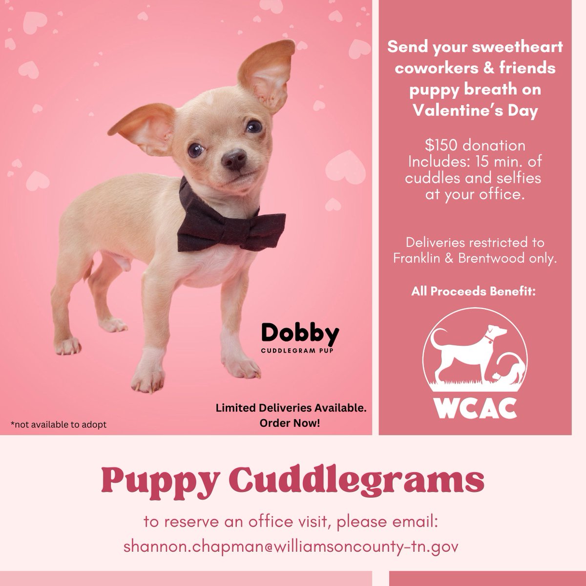 Be the hero of your loved one's office (or order one for yourself - we won't tell). Feb. 14th, WCAC will be delivering adorable puppies to offices in Brentwood and Franklin. $150 donation includes delivery of one puppy for 15 minutes of cuddles.  Proceeds benefit @wcanimalcenter.