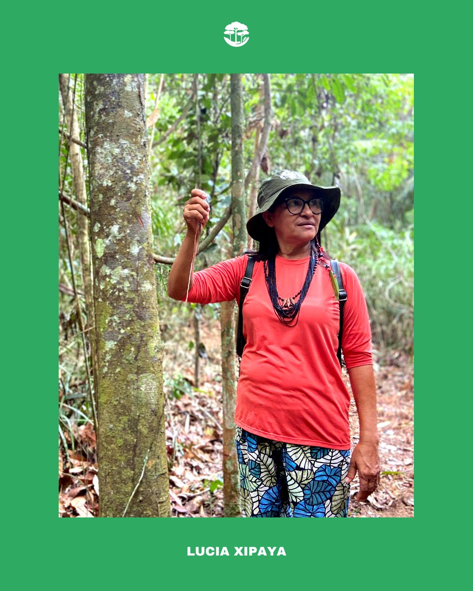 Meet forest guardian Lúcia Xipaya!🌳 Lúcia’s belief and work centers around protecting Indigenous traditions to pass down to future generations, as well as protecting the forest that makes these traditions possible. Over the next few days, we will be spotlighting Lúcia’s craft!