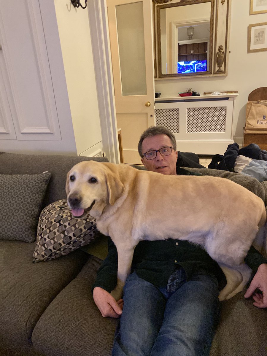 In our house we have clear boundaries. NEVER on the sofa. Have a lovely weekend.