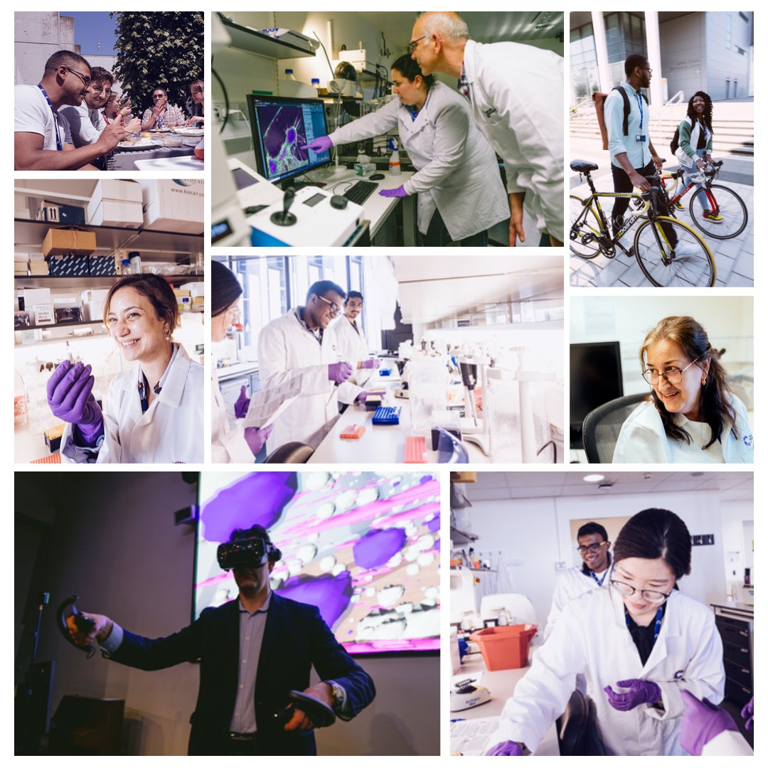On #WorldCancerDay '24 we renew our commitment to harness the power of discovery research to bring about a world where everybody can lead #LongerBetterLives, free from the fear of cancer 💪 We also renew our gratitude to our INCREDIBLE team who enable this research to happen💕