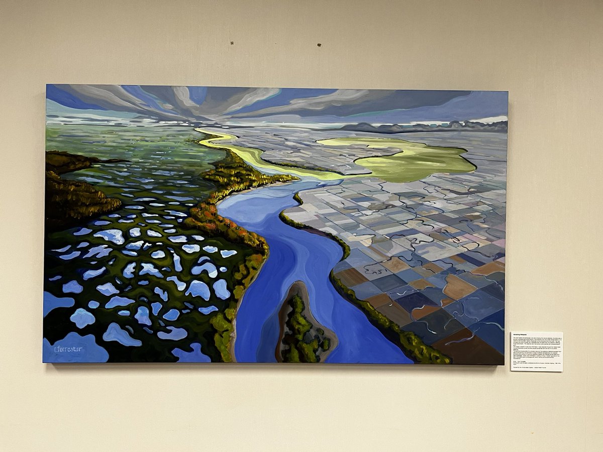 camforrester's tweet photo. @usask_water Vanishing Wetlands. 36”-60” painted as part of the virtual Water Gallery , Global Water Futures. Hangs in the Nationsl Hydrology Centre in Saskatoon https://t.co/rCzIFPV7xX