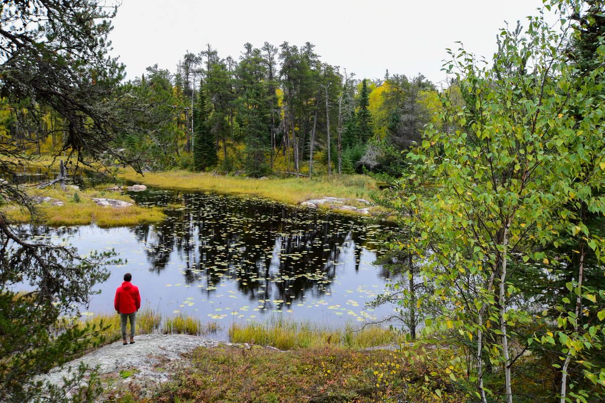 If you’ve visited a provincial park, you know the beauty of our province’s wetlands. 💙

We hope you make time to paddle through fens, stroll across marshy boardwalks, and even get up close and personal with some swampy muck this year! bit.ly/42cF9OB 

#WorldWetlandsDay