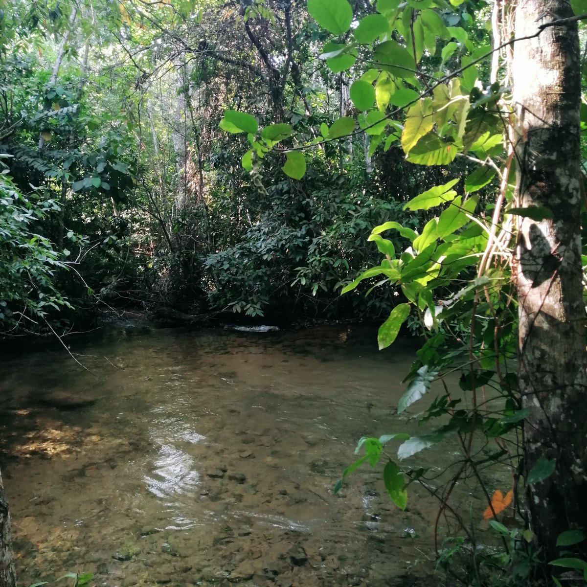 Today is #WorldWetlandsDay! From rivers to coral reefs, wetlands are fundamental to life on our planet. Increasingly threatened, it is up to us to fight tirelessly to preserve them!