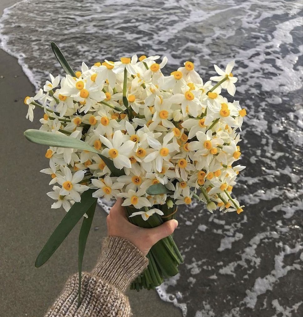 PeyzajBitkileri's tweet photo. En güzel koku❤️ https://t.co/PFsp5H70qm