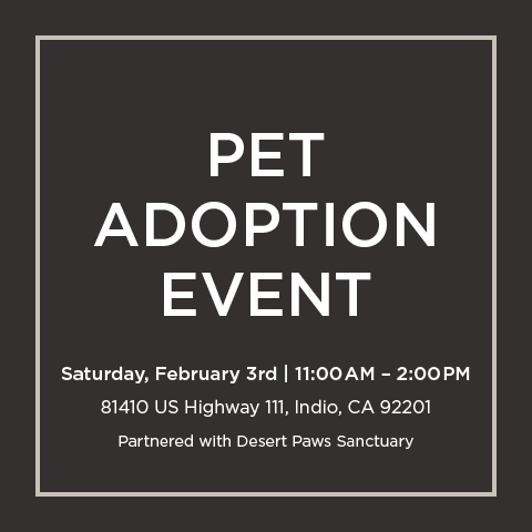 🌟 Hey Indio! 🌟 

Save the date for TOMORROW, February 3rd, and prepare to meet your newest furry family member. Join us from 11 AM to 2 PM to help these lovable pups find the homes they truly deserve. 🐾❤️

See you there!

#petadoption #adoptdontshop #furryfriends