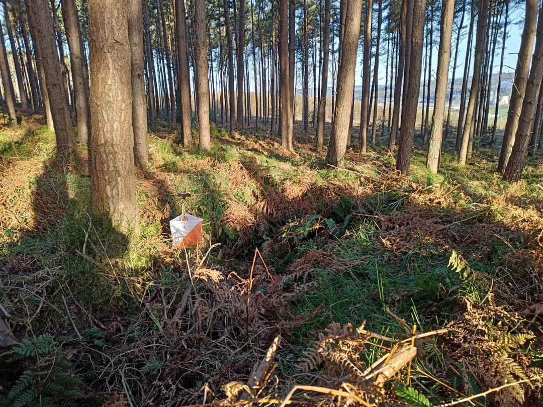 Entries for the N.E. Score Champ.s are now open! Sunday 25 Feb. in Dukeshouse Wood, #Hexham. All welcome-besides the championship categories, newcomers and youngsters can enter a White, Yellow or 45-minute novice score event #orienteering <a href="/BL_Orienteering/">Border Liners</a> newcastleorienteering.org.uk/event/n-e-scor…