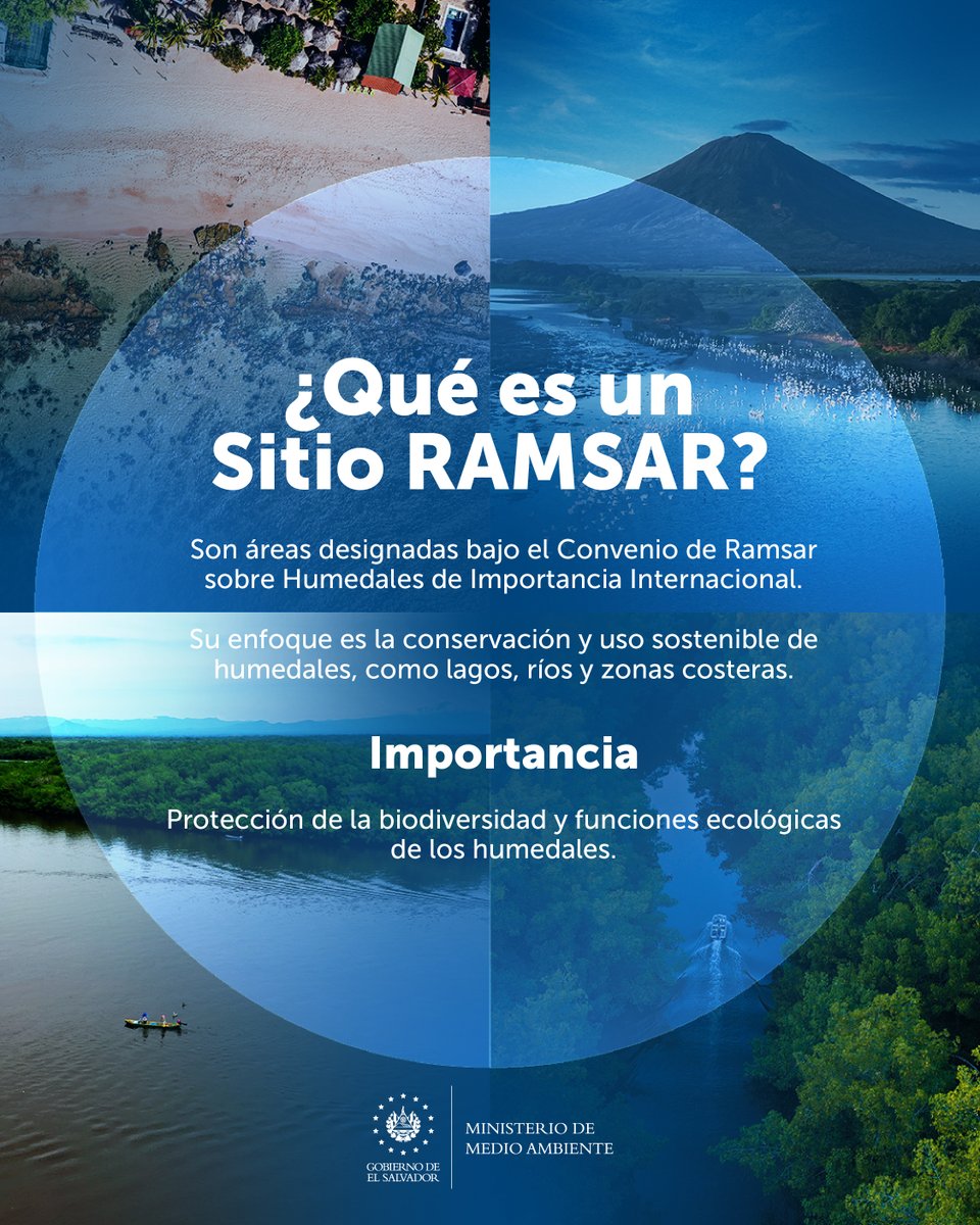 MedioAmbienteSV's tweet photo. Nuestros cuerpos de agua son importantes para los ecosistemas y la biodiversidad. 💧🌳🪷 

Conoce sobre los sitios Ramsar y su importancia para la sostenibilidad ambiental: ⬇️ https://t.co/lOqx8AKDp1
