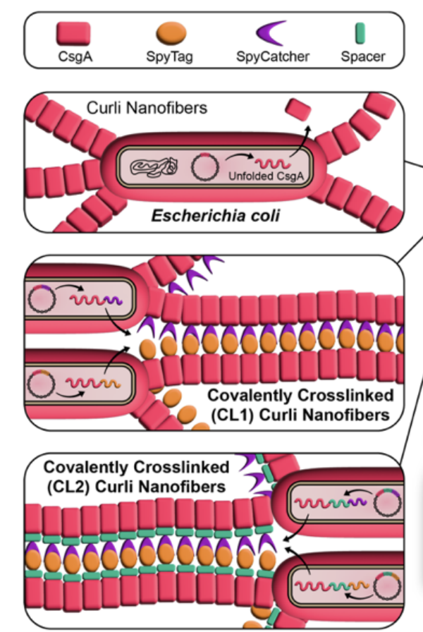good papers tweet media