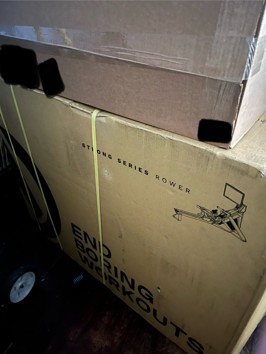 H A L I ✨ tweet media