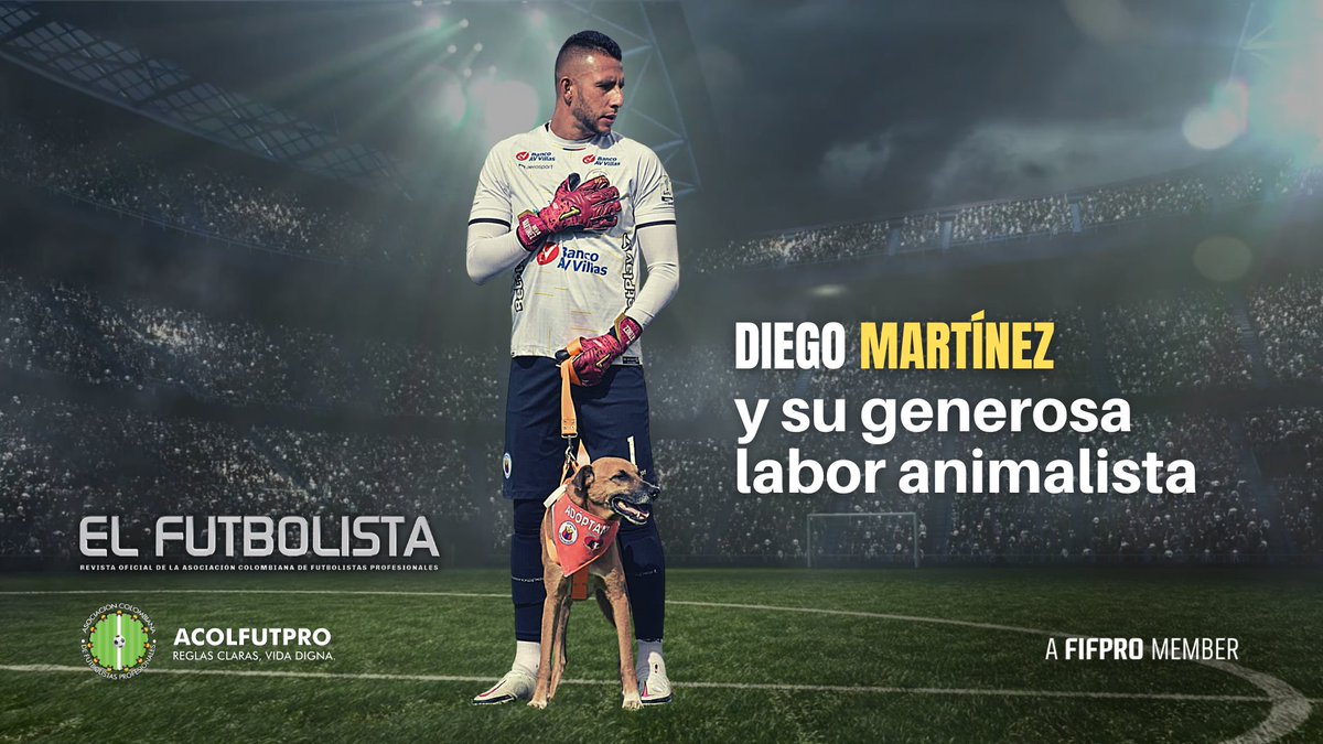 acolfutpro's tweet photo. 💪🏽📷 Referentes | @diegomartinez68 arquero del @DeporPasto y su generosa labor animalista 🐾 en la capital de Nariño. 🐕🐕‍🦺

🤓Lea esta historia y mucho más en la reciente edición de nuestra 
 #RevistaELFUTBOLISTA No.25

Lea todo aquí  ➡https://t.co/AHatU2hYzY

@FIFPRO @FIFPROSudamerica 
La Revista en PDF 👇🏽
📰➡https://t.co/NoHaifFYR6