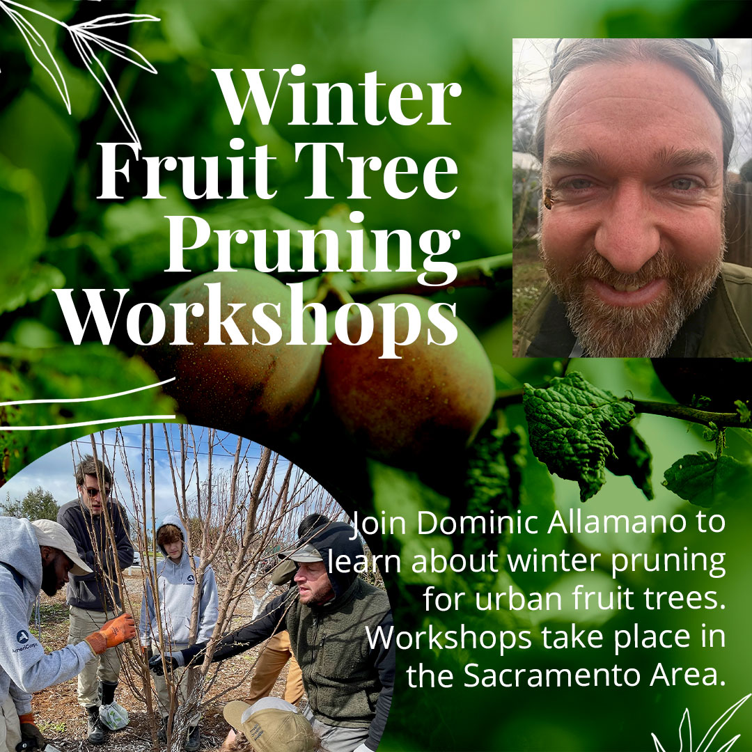 UC Davis WIFSS tweet media