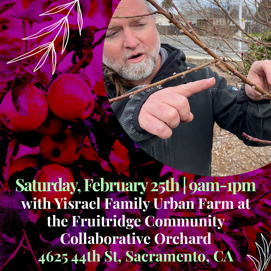 UC Davis WIFSS tweet media