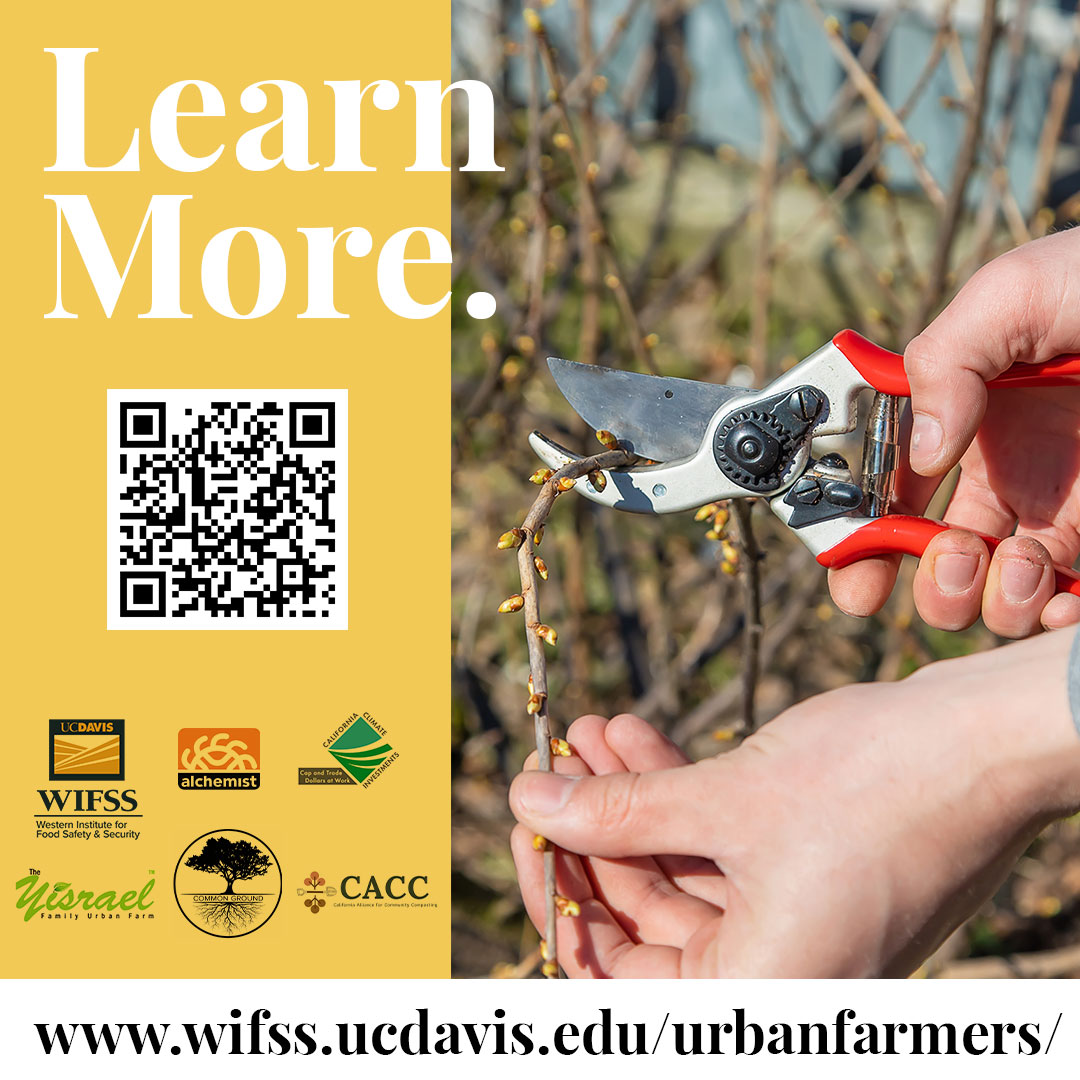 UC Davis WIFSS tweet media