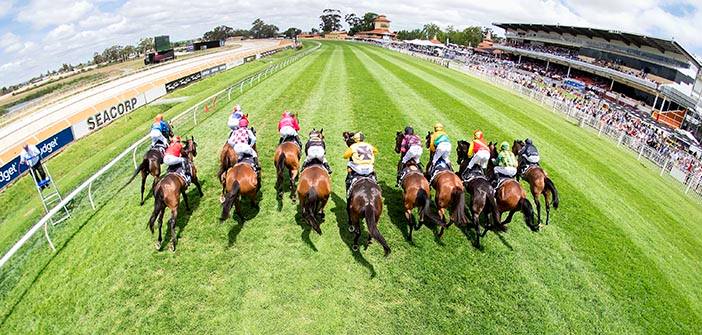 ozrace's tweet photo. Saturday racing @ Ascot and Esperance                                 

Tips online from Ernie Manning, Ben Armstrong &amp; Matt Coxall...                                                      

👉 https://t.co/ob1i8doTDk

@PerthRacing #EsperanceRacing @TheRacesWA
@WesternRacepix https://t.co/2TQUJFt7d2
