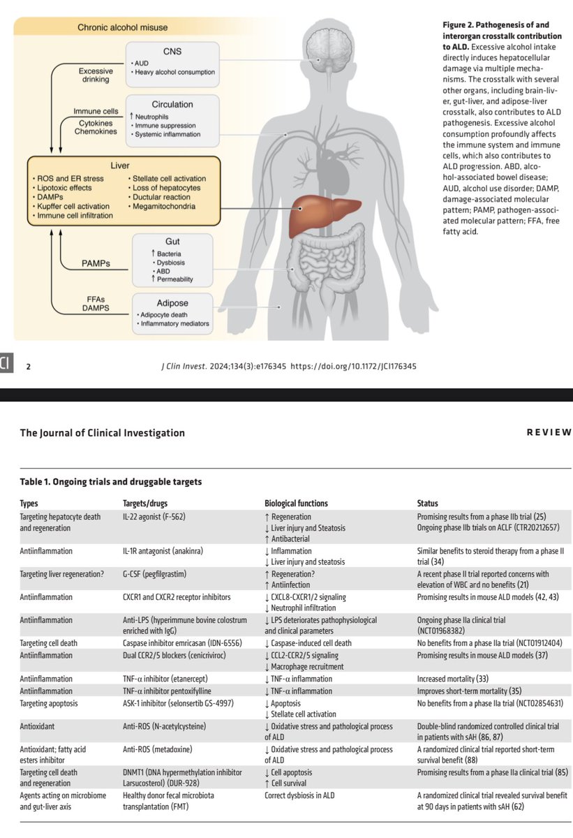An opus on the basic and translational science of alcohol-associated liver disease 

From <a href="/mackowack/">Bryan Mackowiak</a> 
Open access jci.org/articles/view/…
#livertwitter