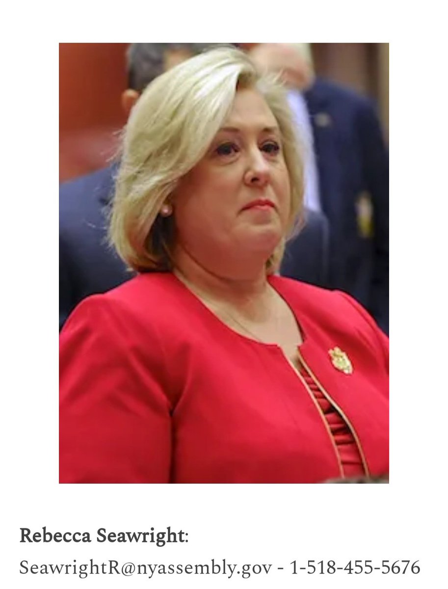 Assemblywoman Rebecca Seawright @Rebecca76AD supports kids getting SURGERY Behind Parents Backs. Ask her WHY she supports that: Email: SeawrightR@nyassembly.gov Phone# 1-518-455-5676 Get all info here 👉 teachersforchoice.substack.com/p/ny-democrats…