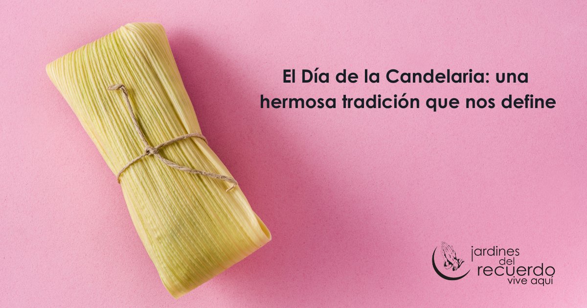 JardinesDelRecuerdo tweet media