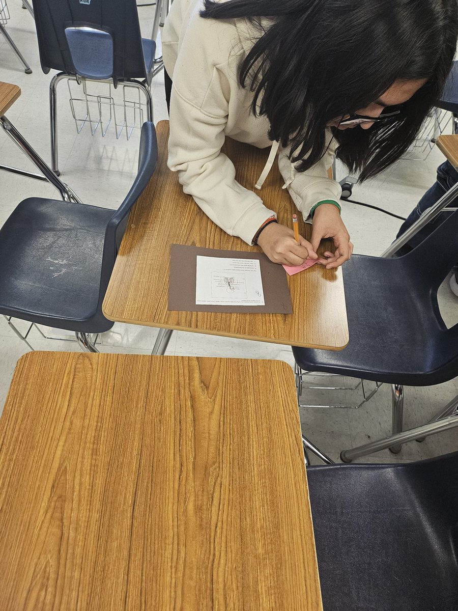 Jennifer Peterson (@jpeter_hms) on Twitter photo Thank you 8th grade Science for giving the opportunity to work with my former students. It's awesome to see how they've grown. All means all!! #Chasing100 #CAVScience <a href="/anaya_hms/">Jaclyn Anaya</a> Mrs. Pinon @Hernando_MS <a href="/imalvillar_HMS/">Illissa Marie Alvillar</a> @SThomas_HMS Thank you 8th grade Science for giving the opportunity to work with my former students. It's awesome to see how they've grown. All means all!! #Chasing100 #CAVScience <a href="/anaya_hms/">Jaclyn Anaya</a> Mrs. Pinon @Hernando_MS <a href="/imalvillar_HMS/">Illissa Marie Alvillar</a> @SThomas_HMS