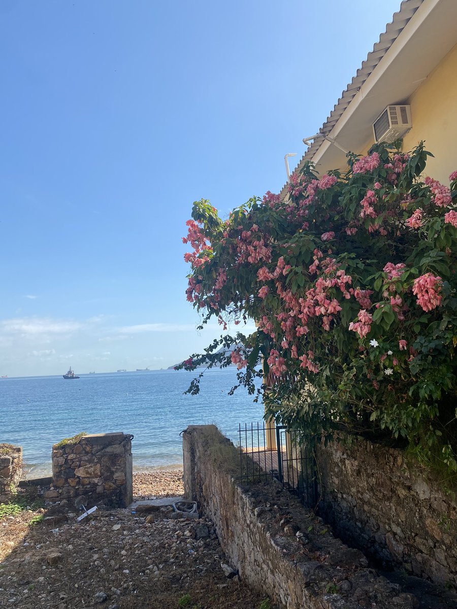 Taboga es precioso 😍😍🥹♥️!!