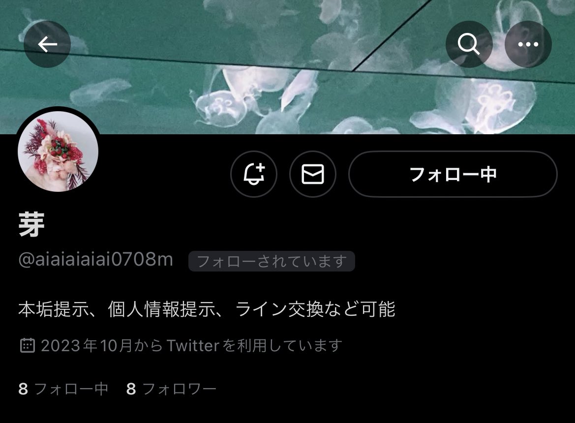 ⚠️注意喚起⚠️
以下の方と相互協力しており、当方協力済みでしたが音信不通になりご協力いただけませんでした。DMの既読は付くので読んだ上で無視されており悪質かと思われます。今後お約束されている方は注意してください。

芽 <a href="/aiaiaiaiai0708m/">⸜🌷︎⸝‍</a>  Mrs. GREEN APPLE