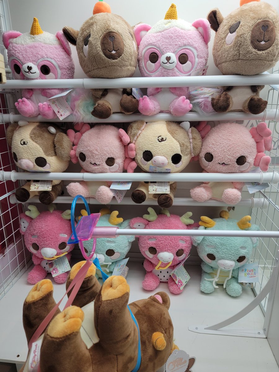 Kawaii Catchers tweet media