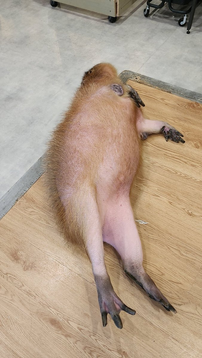 ohamikann 🍊
have a nice weekend everyone ✨️