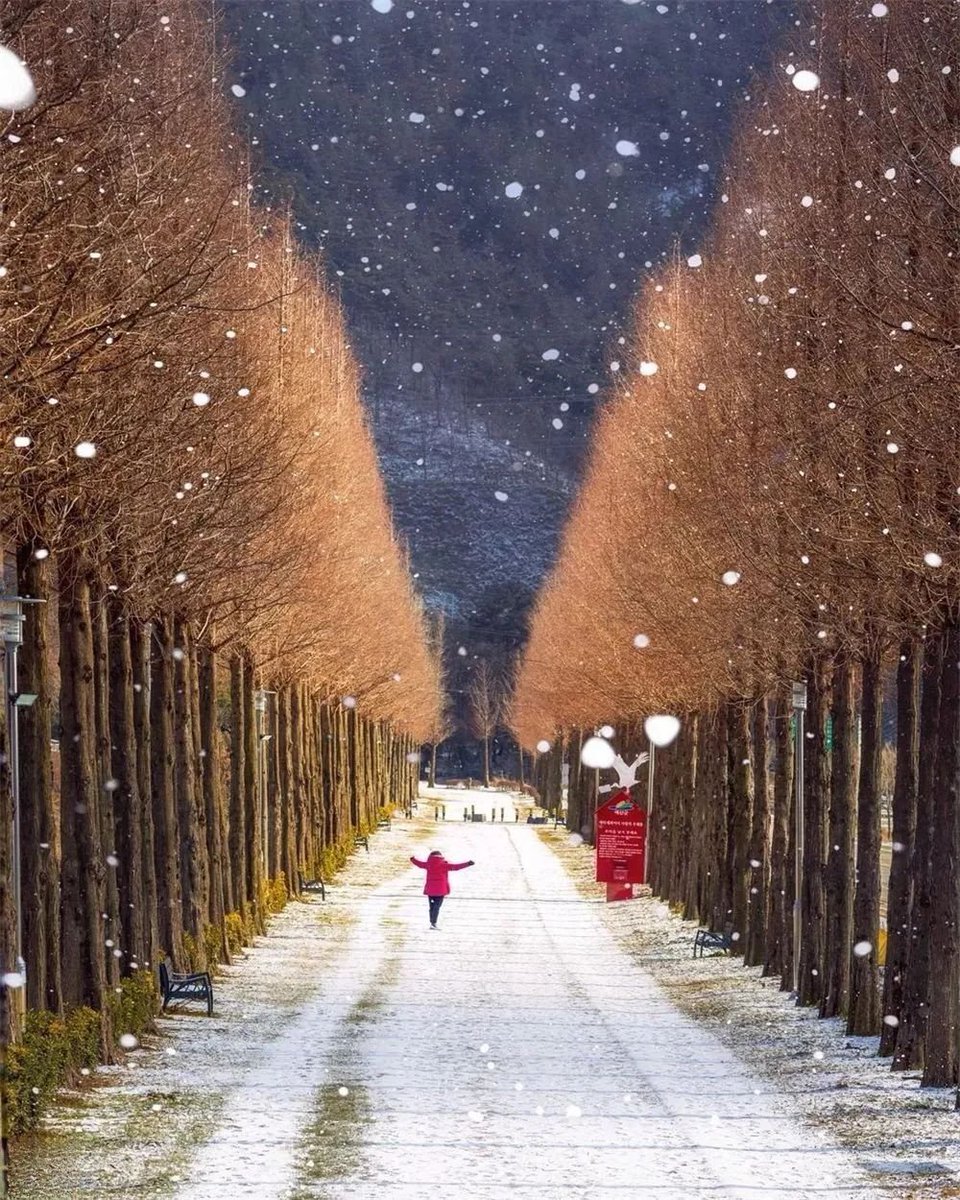 Beautiful scenery.❄️🍁