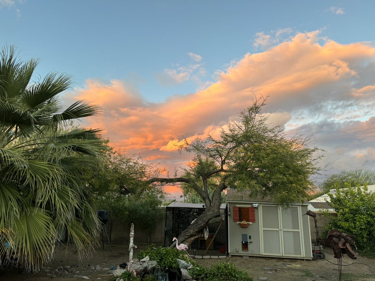 Beautiful sky #Arizona