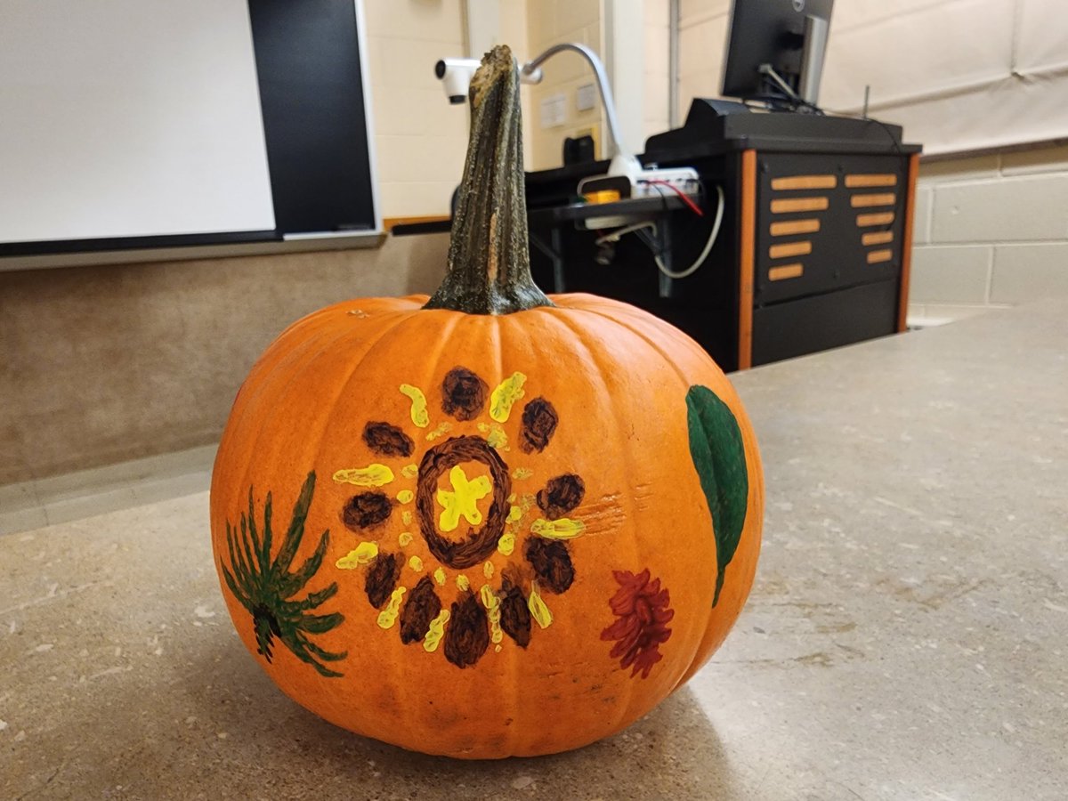 Pumpkin painting.

#PumpkinPainting #LeafPaint #RedMaple #WhiteOak #Sassafras #QuakingAspen #PonderosaPine #BigSagebrush #CaliforniaPoppy #MojaveMoundCactus #SaguaroCactus #SawPalmetto #Passionflower #Baldcypress #SouthernMagnolia #October24th2023