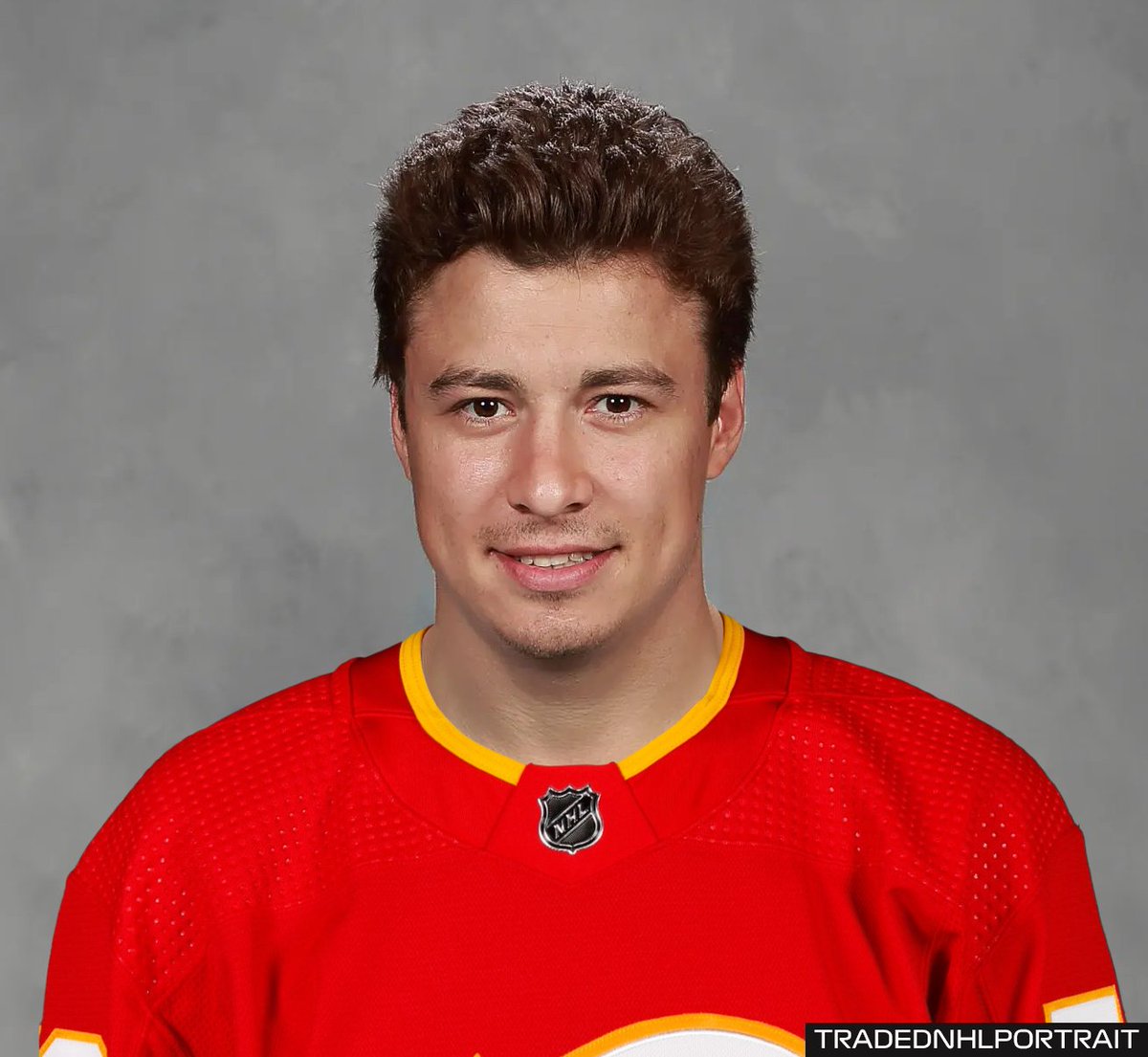 TradedNHLPortrait tweet media