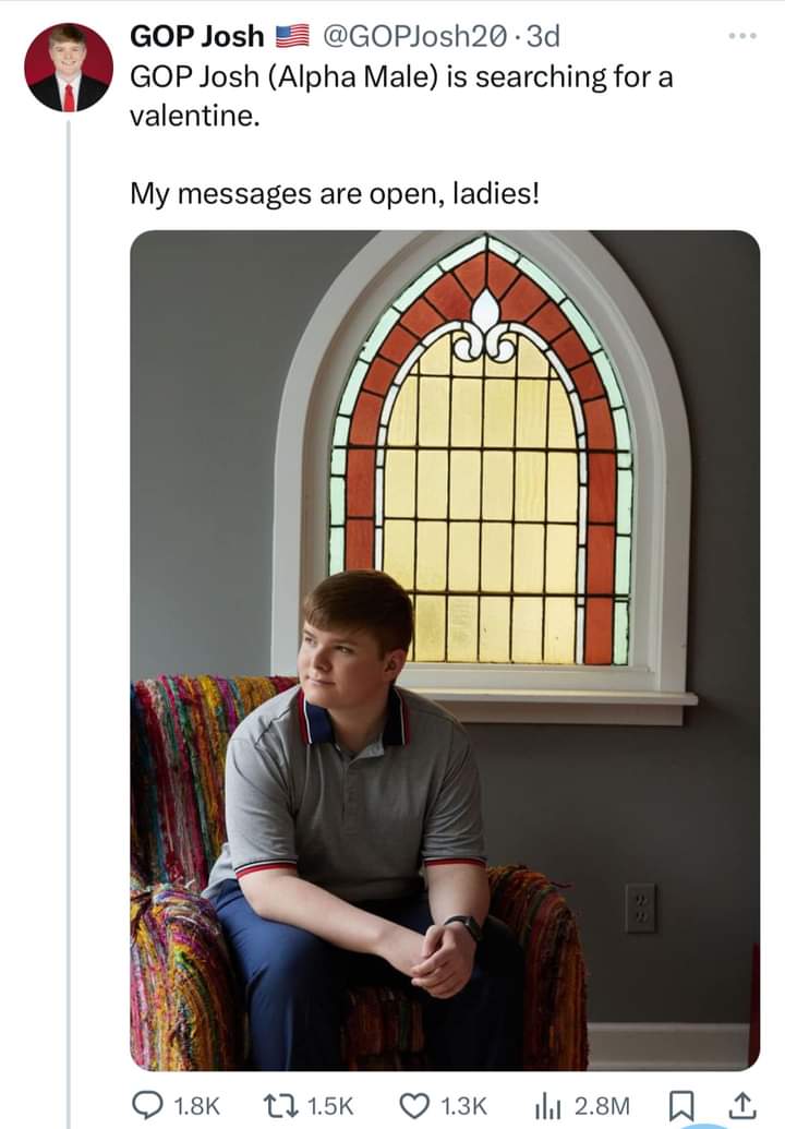 Shellybelly 🟧 tweet media