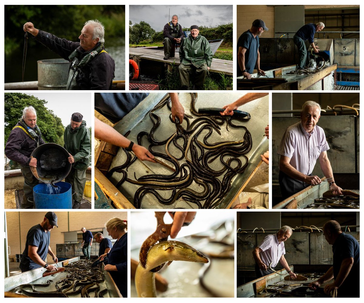 3rd REPORTAGE - LOUGH NEAGH EELS - Philip Doyle, Irish Farmers Journal @Philldoylephoto @farmersjournal #pressphotographers