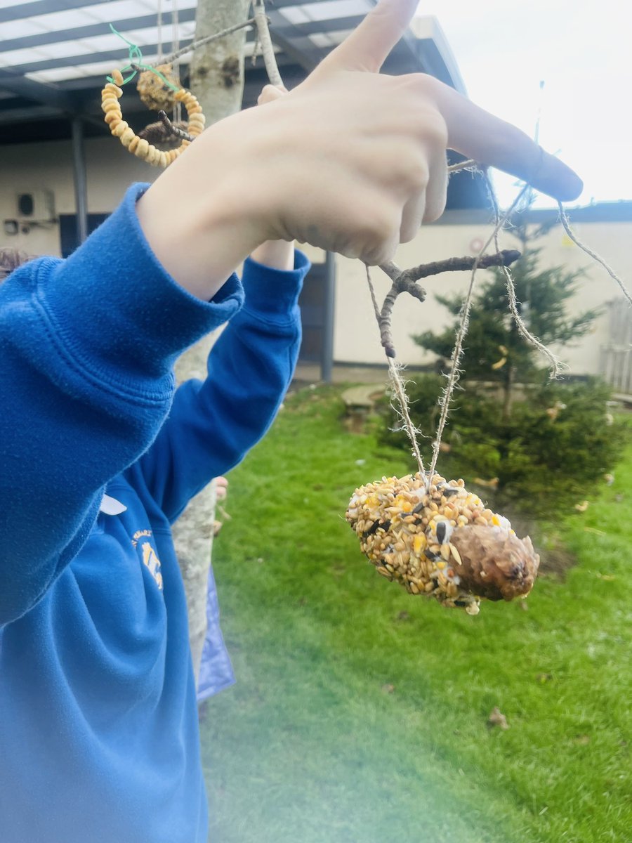 In preparation for the RSPB #BigGardenBirdWatch we made a variety of different #bird feeders using #recycled materials in our sessions at various schools including @ParadykesP @Cuiken_Primary @pinkieprimary & @KelvindalePS 🐦 #natureconnection