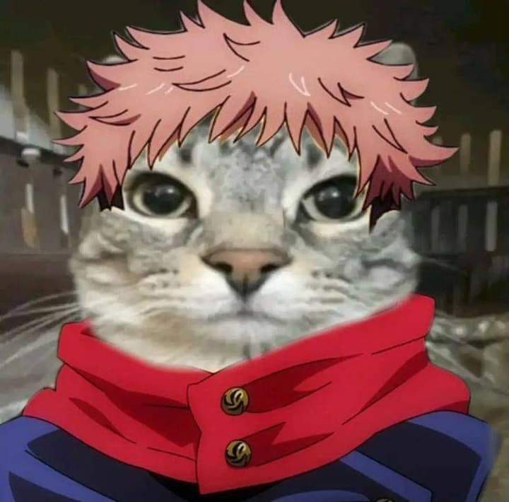 Estamos muy tristes y todo vale verga