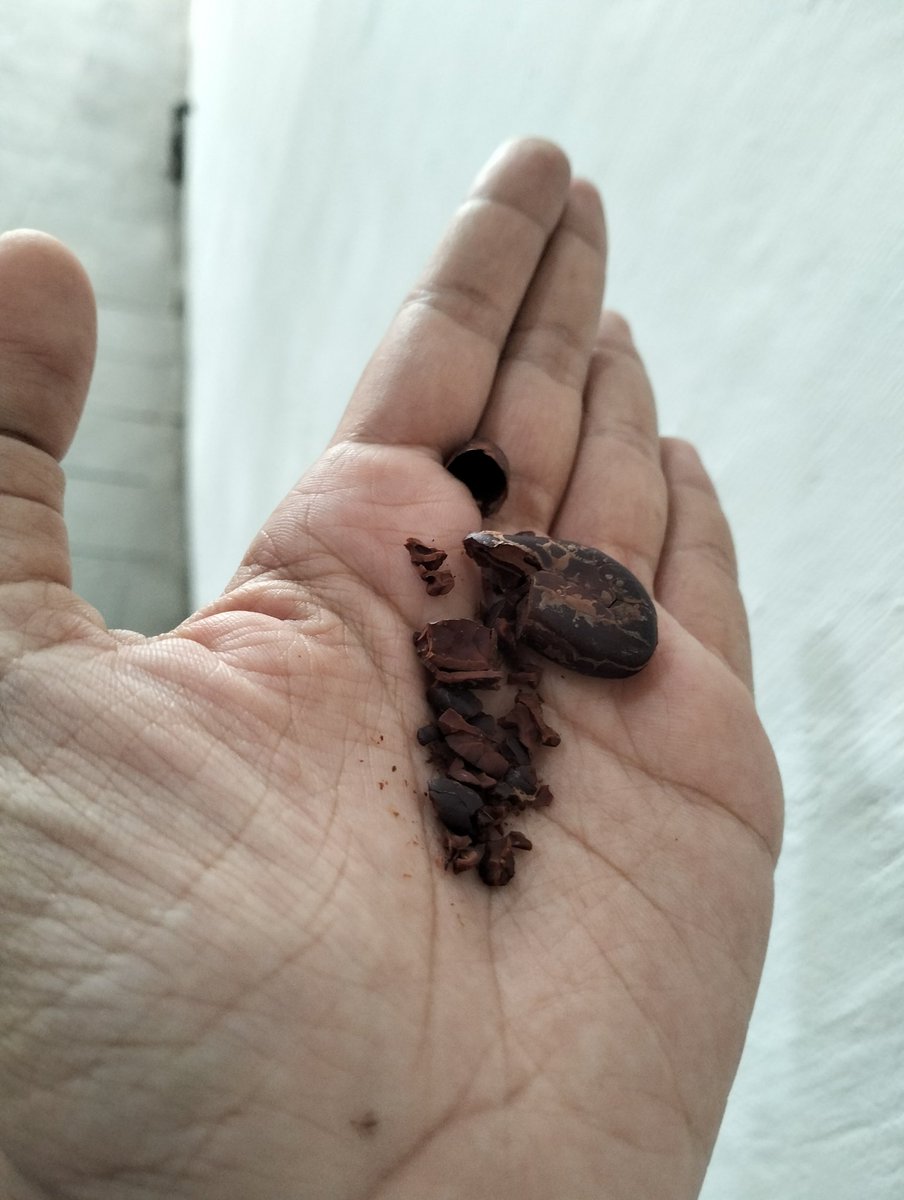 RastyFP's tweet photo. Semua ada masa nya

Terimakasih sudah singgah, 
Meski sempat terengah-engah 
akhirnya luluh lantah,
Yakinlah, ini adalah yang terindah.

Apapun itu tetap Alhamdulillah. https://t.co/nFSdFbNQ7C