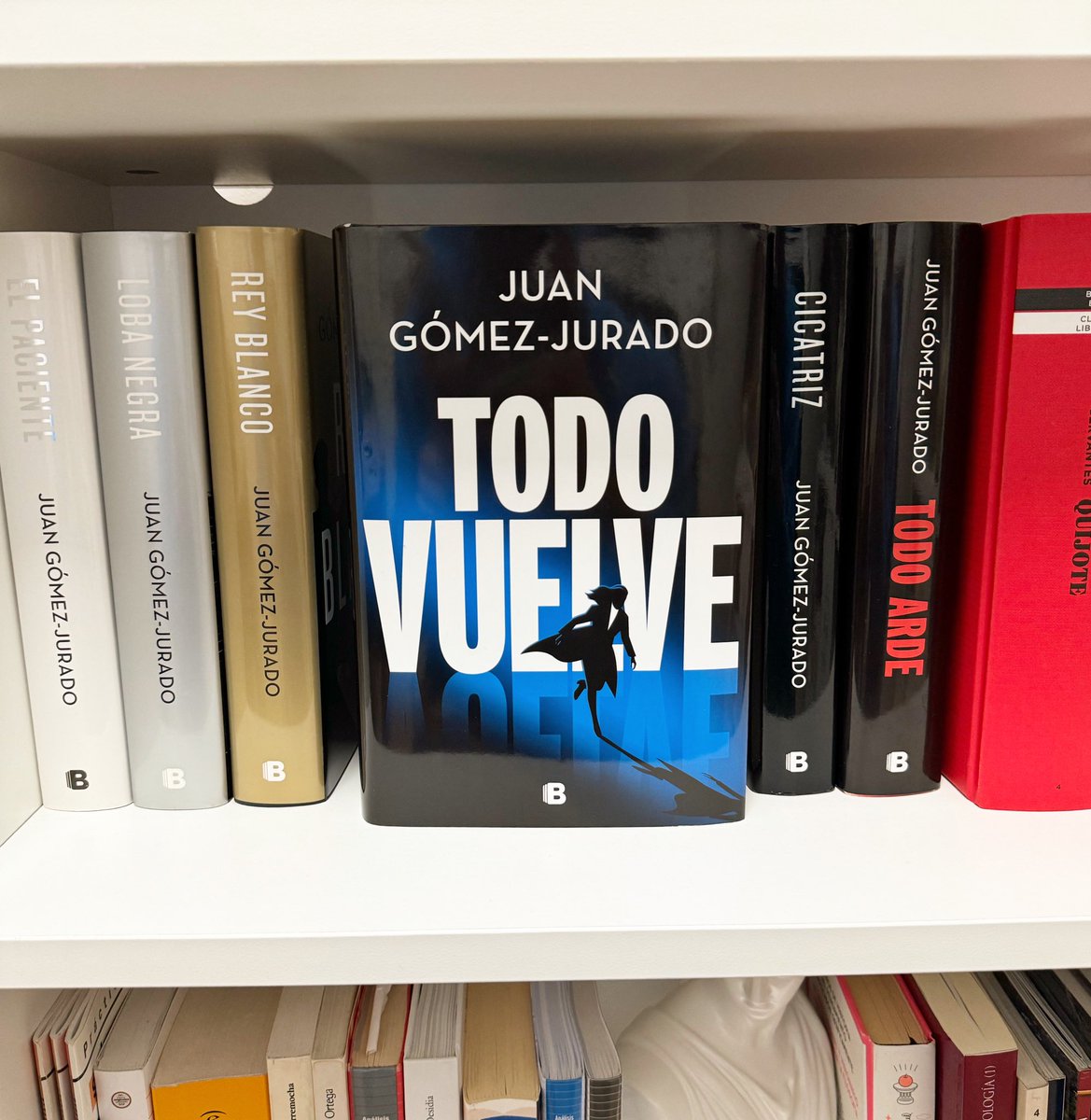 “Durante un breve instante de particular lucidez, comprende que los sueños solo valen la pena si se demoran. 
Solo mueren si se alcanzan. 
Sin sueños, solo quedan tareas.”

Para mi gusto, con “Todo arde” <a href="/JuanGomezJurado/">Juan Gómez-Jurado</a> ha dado un paso más allá en este universo. Sublime 👌🏽