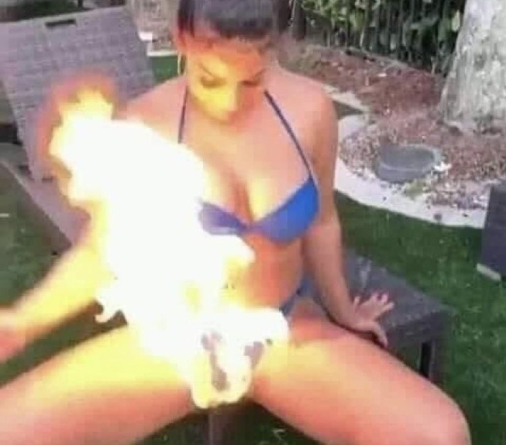 lǝıɹqɐƃ tweet media