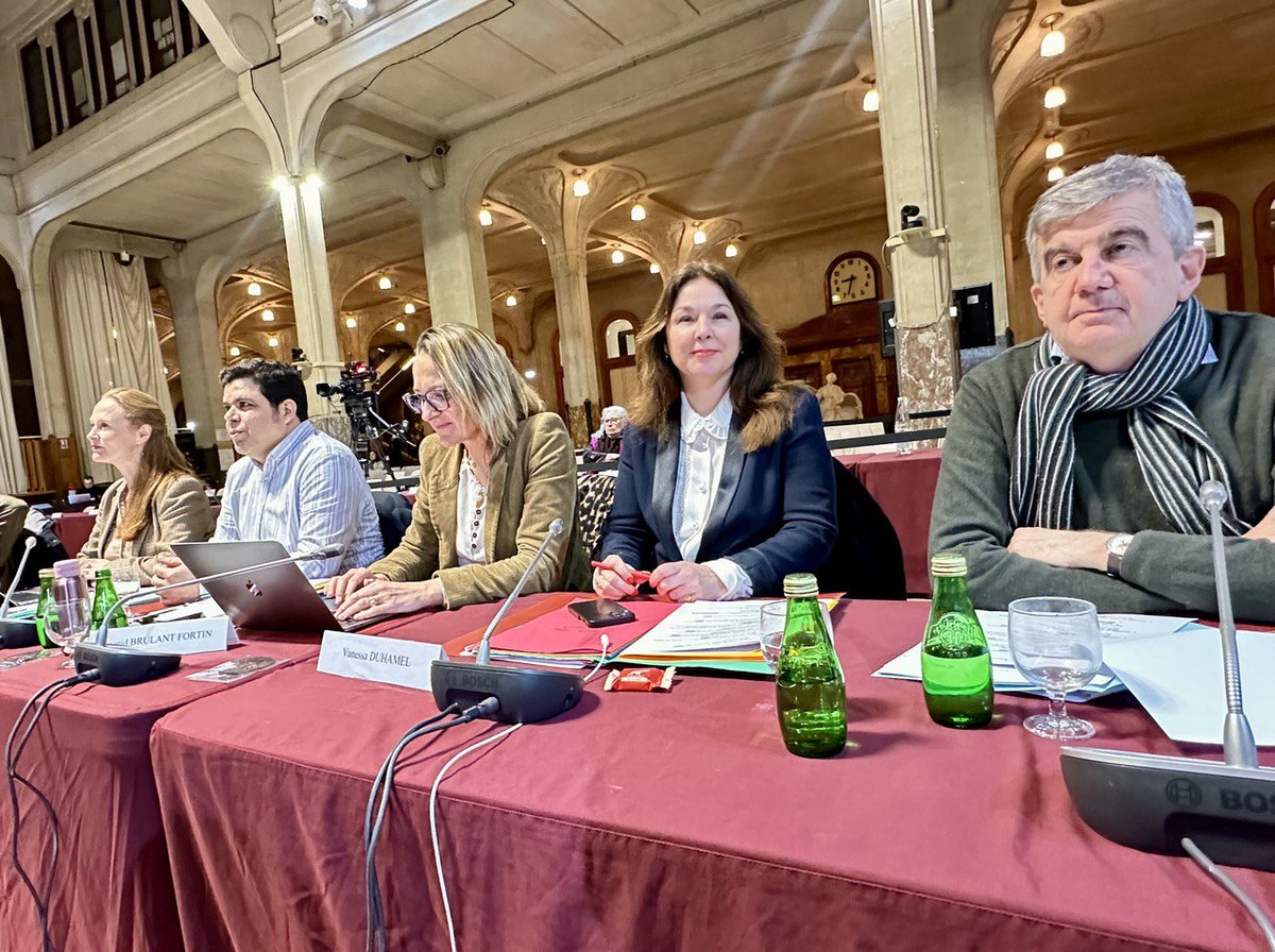 #CONSEILMUNICIPAL #LILLE 
Toujours amusant ce conseil municipal de #Lille : malgré nos interventions constructives et nos propositions locales, une majorité à bout de souffle,  qui n’a comme projet pour les Lillois que de taper sur le gouvernement… Rien ne nous empêchera d'aimer…