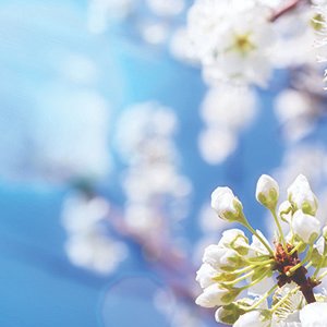 The 2024 claims freeze is over. 3sHealth has completed the annual measure and Canada Life will now be processing 2024 claims in the order they were received. Want to learn more? Have your questions answered here: 3shealth.ca/news-and-publi…