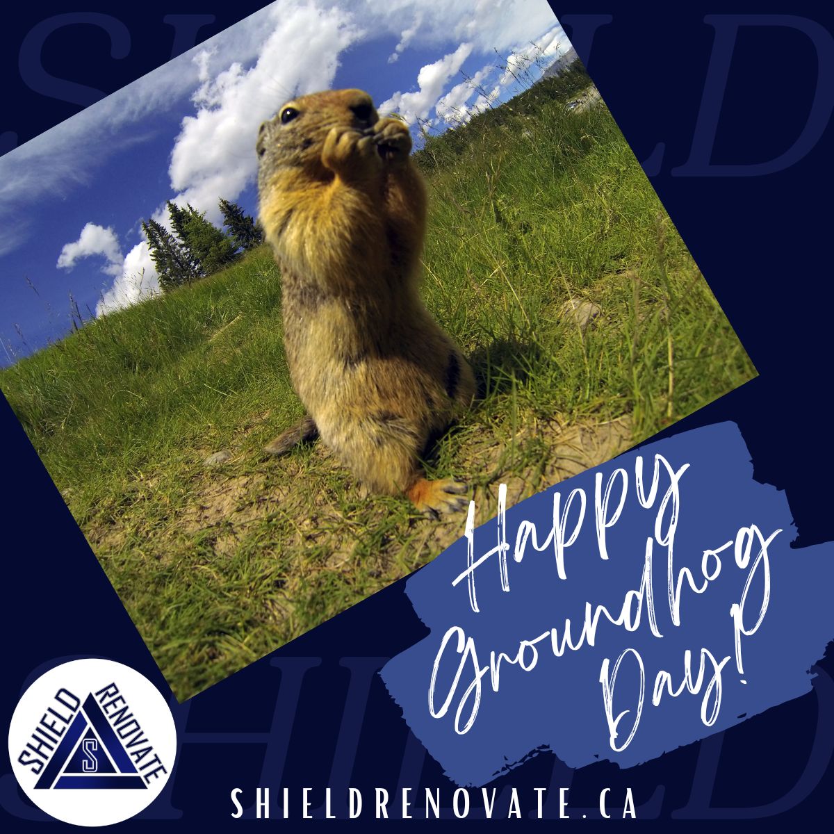 ShieldRenovate's tweet photo. The 2024 #GroundhogDay results are in! Unfortunately our resident Alberta groundhog, Balzac Billy, is predicting 6 more weeks of winter.

Good thing our winters come with a side of #Chinooks

Happy Groundhog Day!

#yyc #calgary #FridayVibes https://t.co/87AO78DZQn