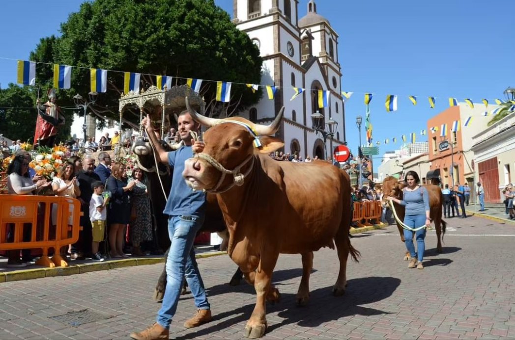 Christodriguez's tweet photo. Maravilloso día grande de las fiestas de #LaCandelaria en la Villa de Ingenio en el que hemos podido compartir conversaciones, anécdotas y buenos momentos con amigos y vecinos. #HaciendoPueblo👓 https://t.co/4sXeorPfqL