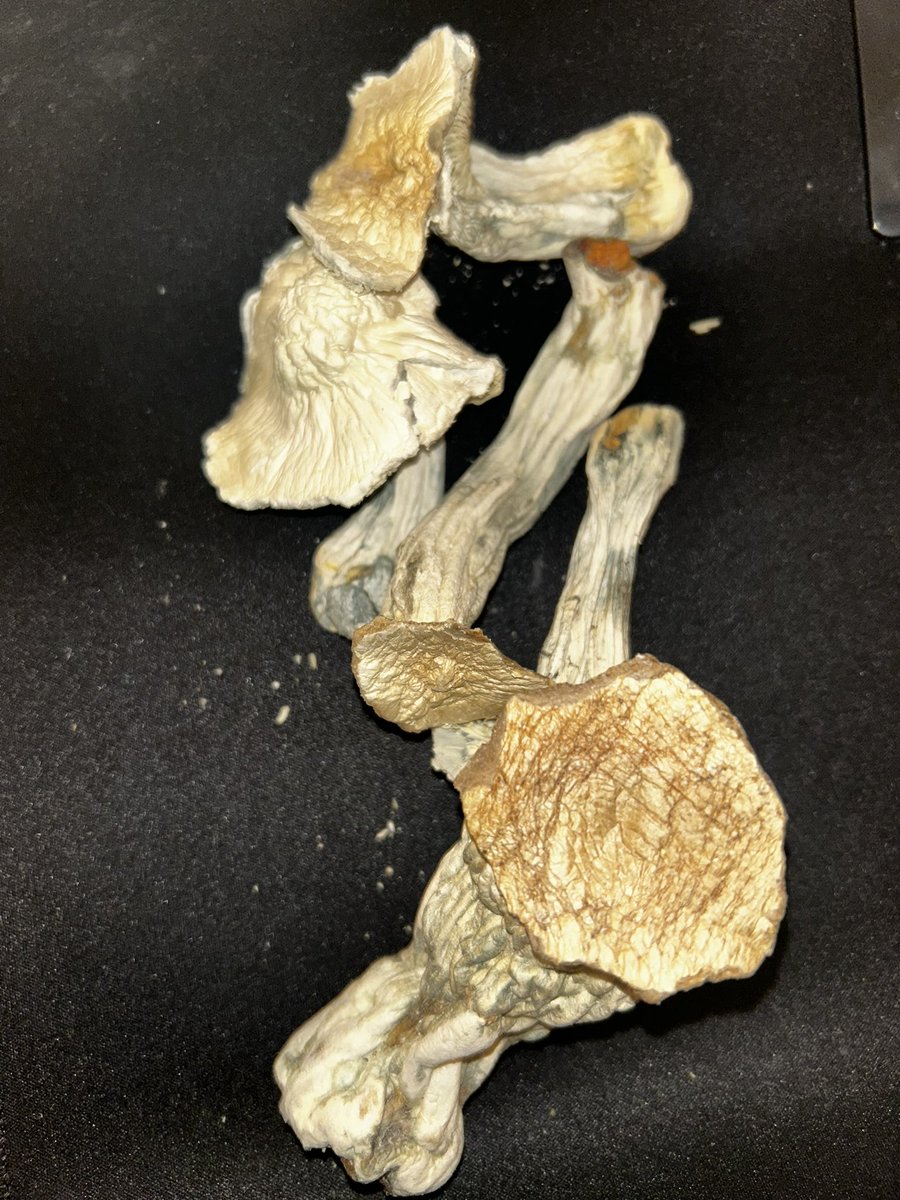 Peez7y's tweet image. #336plug tap n #ncat #704plug