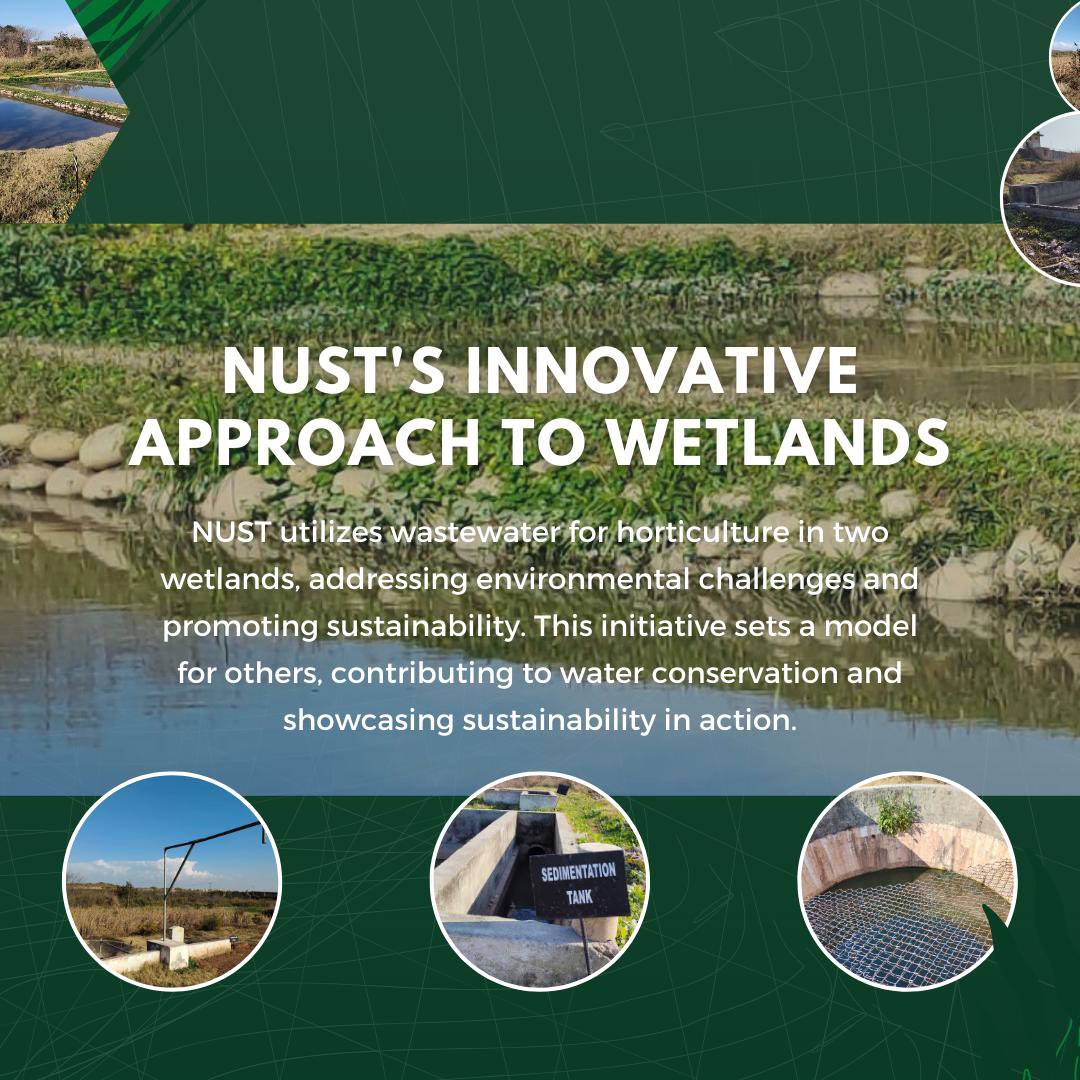 Nustainable tweet media