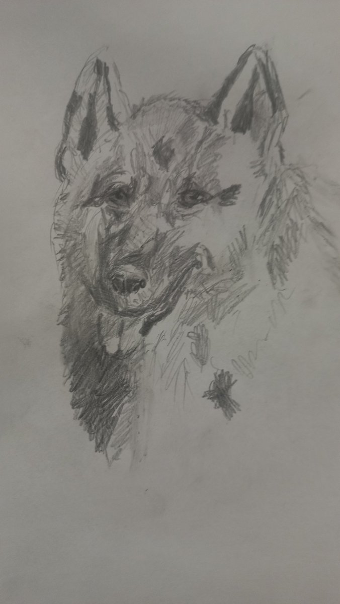 lolokeer (@lolokeer) on Twitter photo 