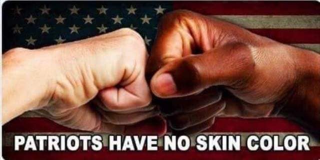 TruthUnitesUs's tweet photo. @carolmswain Thank you, @carolmswain 🙏
#PatriotsHaveNoSkinColor 
#WalkAway f/ #DemPlantation https://t.co/QnJt8R3Bqm