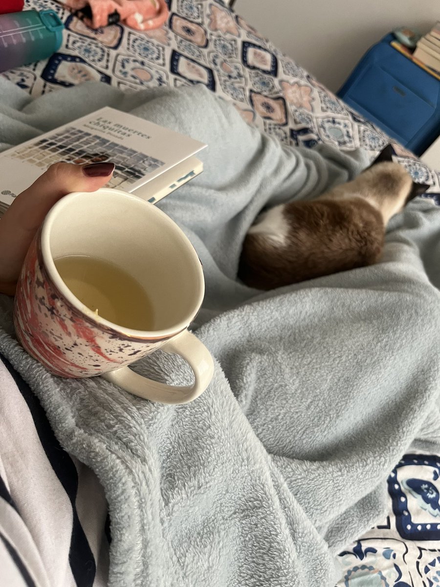 Lalanava tweet media