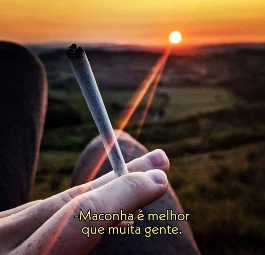 Chapo Do Chong (@chapodochong) on Twitter photo 