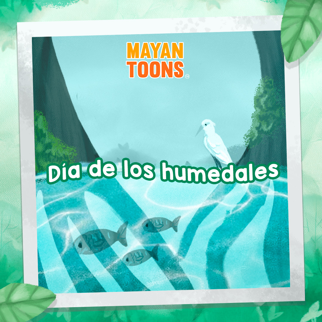 MayanToons's tweet photo. 💚Hoy celebrémos el #DíaMundialDeLosHumedales 🌊🌳. Son hogar de biodiversidad, reguladores del agua y aliados en la lucha contra el cambio climático. ¡Cuidemos estos ecosistemas vitales para un futuro sostenible! 
#Humedales #illustration #artoftheday #digitalart #MayanToons https://t.co/QQnbBwAefu